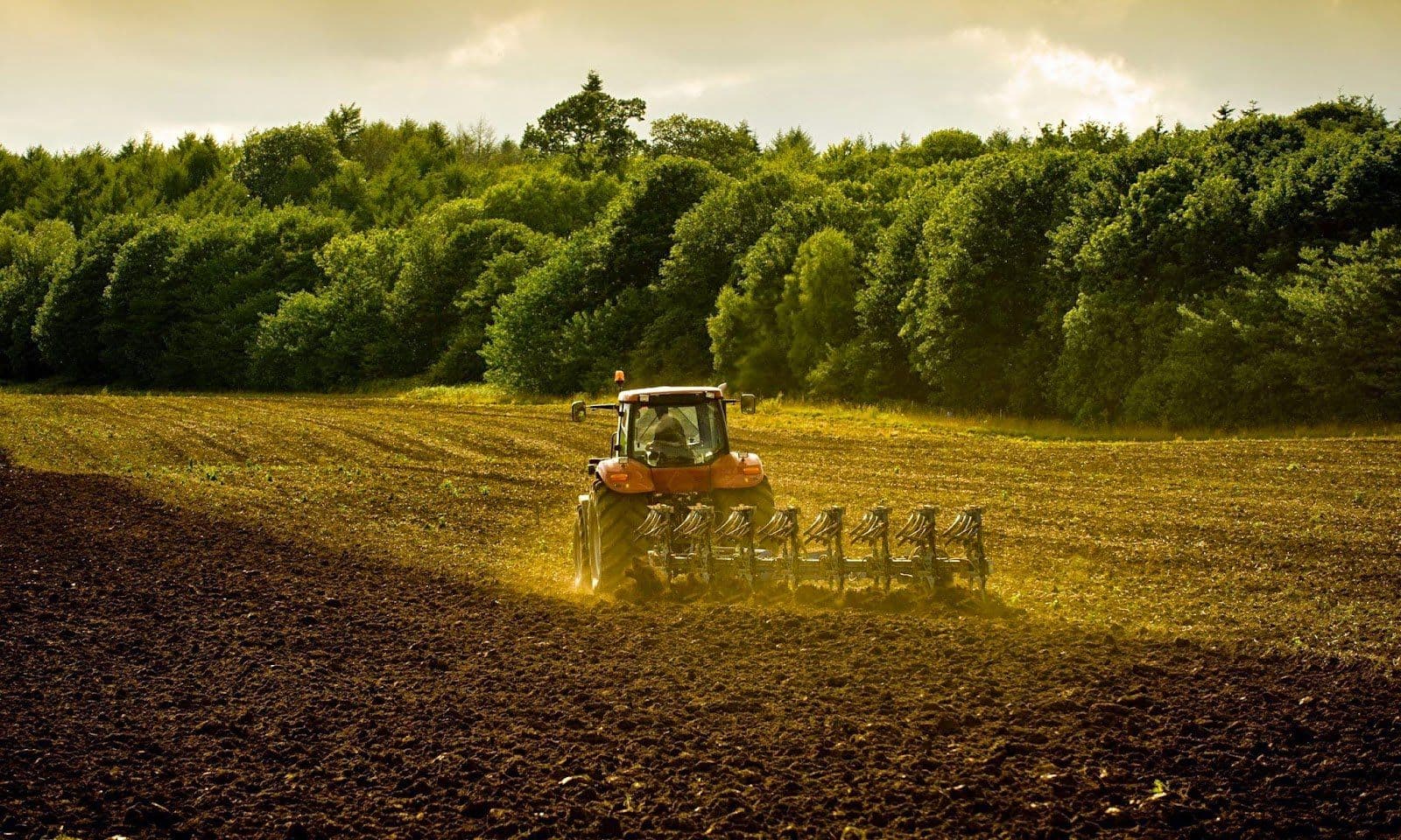 OEM vs. Aftermarket Parts: Which Is Right for Your Vehicle?