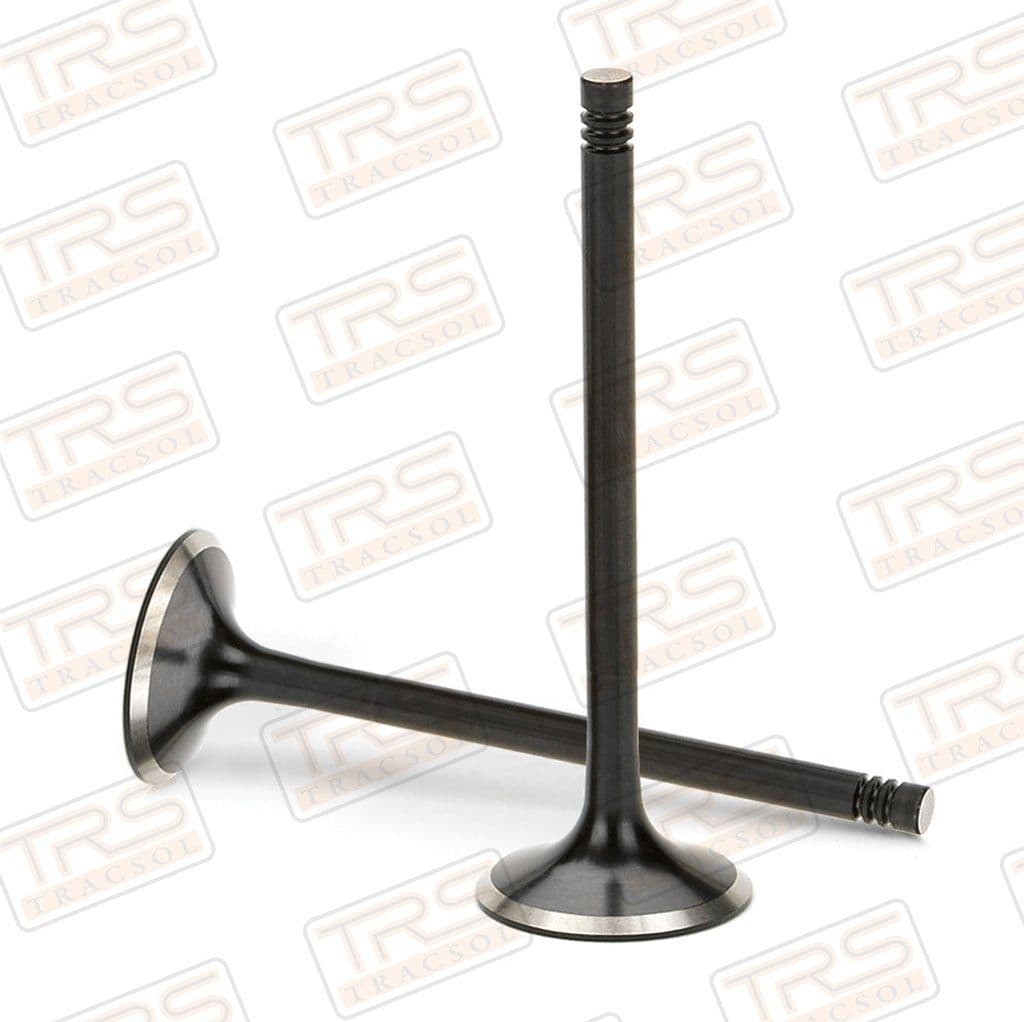 Black Nitride Intake Valves Massey Ferguson