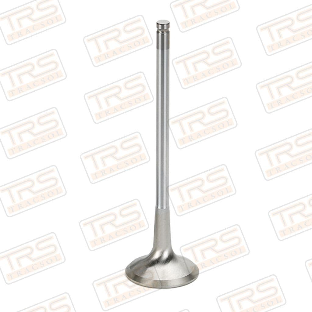 Inlet Valve (35 Degrees) STD Massey Ferguson